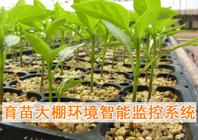 育苗大棚環(huán)境智能監(jiān)控