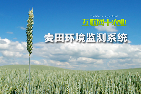 實(shí)時(shí)監(jiān)測(cè)麥苗生長(zhǎng)情況