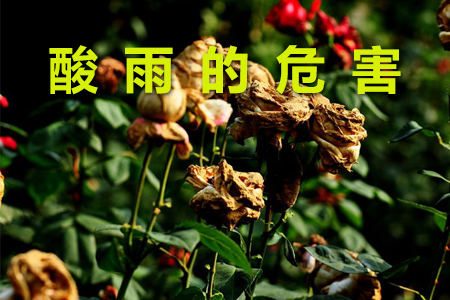 二氧化氮變送器在氣象監(jiān)測(cè)中的應(yīng)用