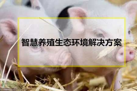 智慧養(yǎng)殖生態(tài)環(huán)境解決方案