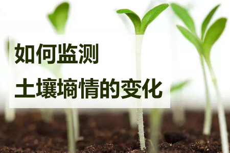 如何監(jiān)測(cè)土壤墑情的實(shí)時(shí)變化