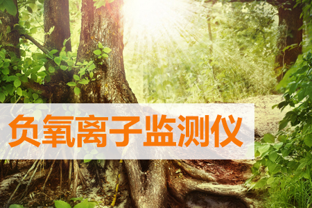 負(fù)氧離子監(jiān)測(cè)儀的工作原理