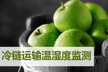 溫濕度記錄儀在冷鏈運(yùn)輸中的應(yīng)用