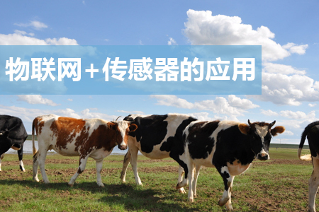 物聯(lián)網(wǎng)和傳感器技術(shù)在養(yǎng)殖環(huán)境監(jiān)控中的應(yīng)用