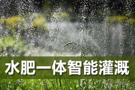 水肥智能一體灌溉在農業(yè)中的應用