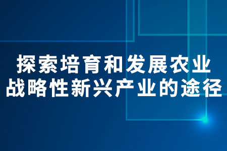 農(nóng)業(yè)現(xiàn)代化