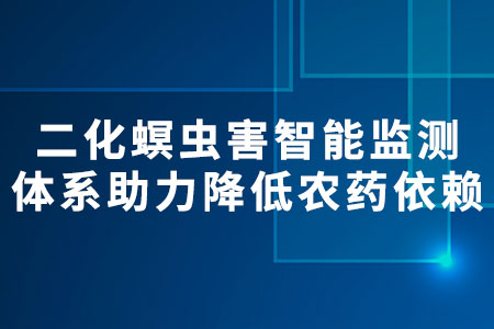 二化螟蟲害智能監(jiān)測