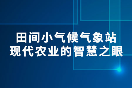 田間小氣候氣象站