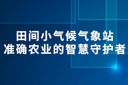 田間小氣候氣象站