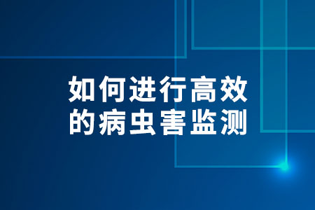 如何進行高效的病蟲害監(jiān)測