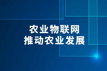 農(nóng)業(yè)物聯(lián)網(wǎng)：推動農(nóng)業(yè)發(fā)展