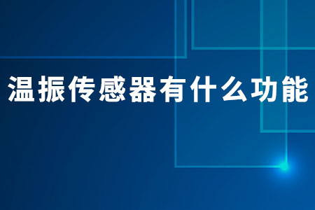 溫振傳感器有什么功能